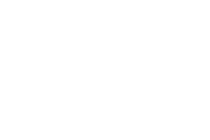 Basf Basf