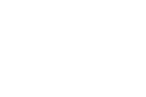 Bodegas Torres Bodegas Torres