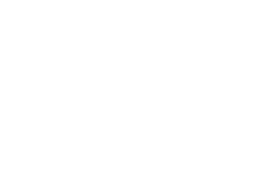 Grupo Gigante Grupo Gigante