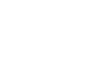 Harley Davidson Harley Davidson