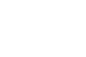 IBM IBM