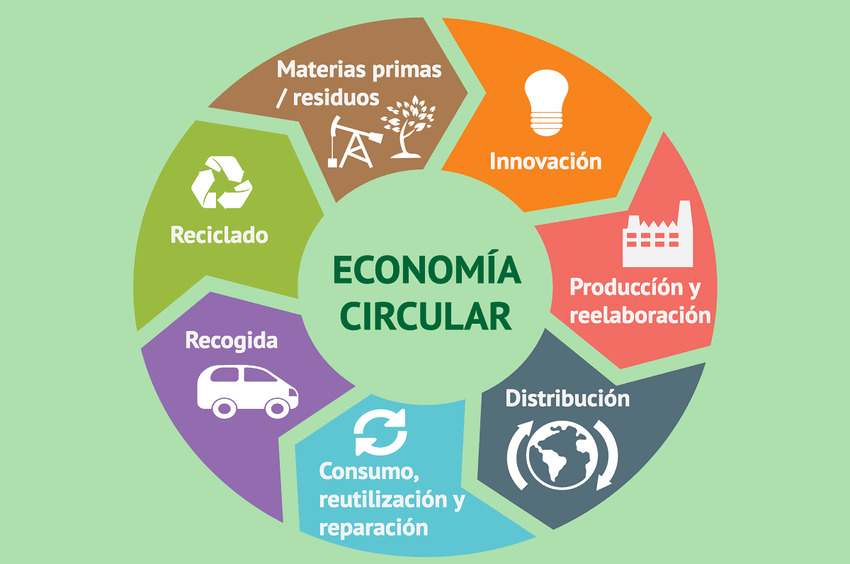 economía circular y decisión de compra